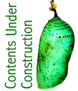 Contents Under Construction